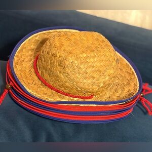 Set of 10 kids Straw Hat with Red and Blue Accents